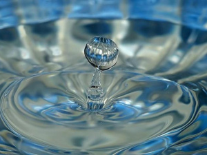 Фото з мережі інтернет