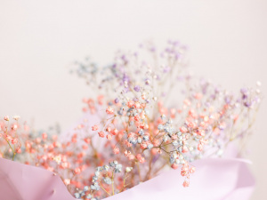 Зображення від kroshka__nastya на Freepik