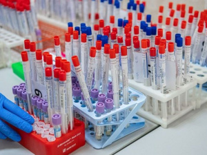 Фото из сети Интернет