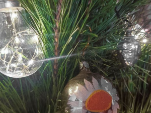 Дайджест головних новин тижня, що минає