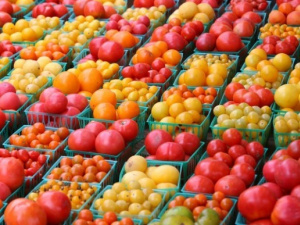 В Україні подешевшали тепличні томати: що прогнозують