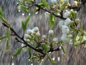 Фото із мережі Інтернет