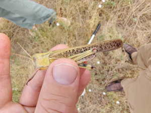 Фото з відкритих джерел