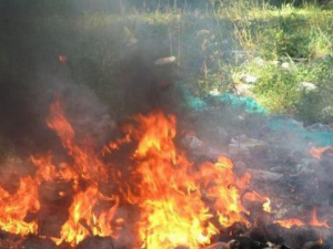 Фото из сети Интернет