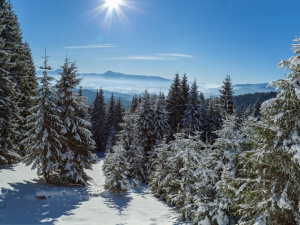 Фото з відкритих джерел       