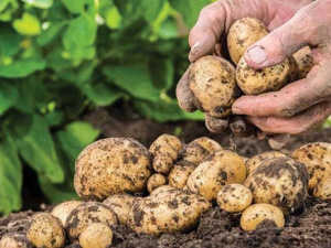 Фото з відкритих джерел  