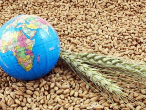 Україна готова відновити експорт зерна зі своїх портів, якщо це буде безпечно, - Данілов