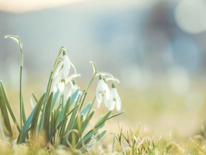 Антициклон панує: що очікувати від погоди на вихідні - фото з відкритих джерел