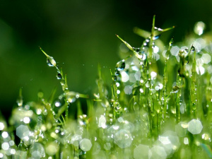 Фото з відкритих джерел
