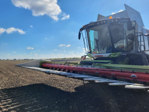 Українські аграрії проти стихії: як триває збір урожаю соняшника - фото з каналу Євген Ситниченко / Криворізький район