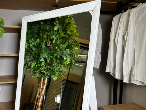 Які місця в домі вважаються найкращими для дзеркал - фото з відкритих джерел