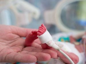 Фото із мережі Інтернет