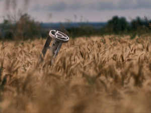 Фото із мережі Інтернет