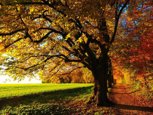 Фото з відкритих джерел  