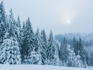 Погода на тиждень - фото ілюстративне з відкритих джерел 