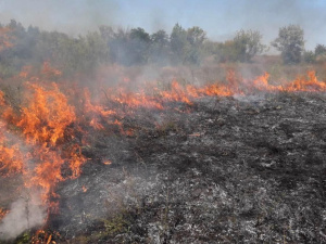 Фото із мережі Інтернет