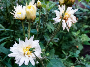 Краще відмовитись від підмітання підлоги та походу у баню 31 липня: все про цей день