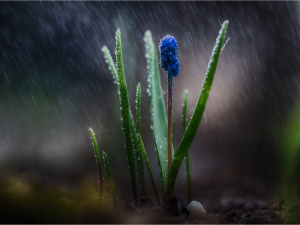 День сили: як використати енергію весняного рівнодення - фото з відкритих джерел