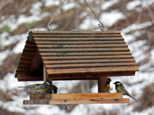 Фото з відкритих джерел