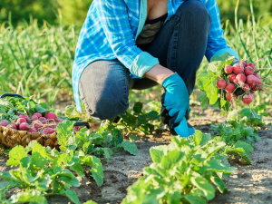 Фото з відкритих джерел
