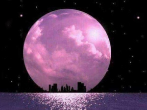 Фото з відкритих джерел