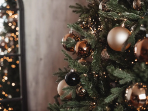 Святкова магія: обираємо правильний день для ялинки - фото з відкритих джерел