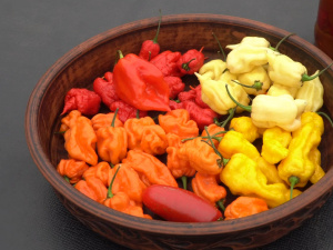 Фото Суспільне Дніпро