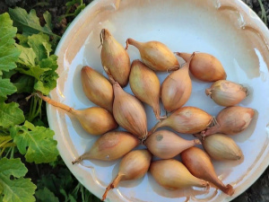 Фото з відкритих джерел