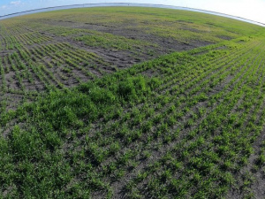 Фото пресслужби компанії Метінвест