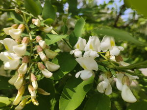 Фото редакції krivbass.city