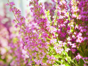 Фото: Depositphotos