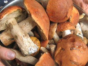 Фото из сети Интернет