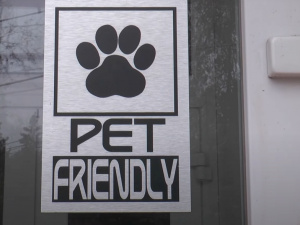 Фото Суспільне Дніпро