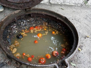 Фото из сети Интернет