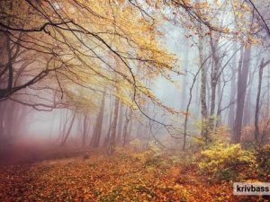 погода на вікенд - фото ілюстративне з відкритих джерел