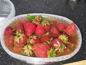 Фото Viacheslav Ov