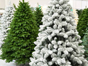 Фото з мережі інтернет 