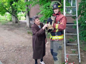 Фото пресс-службы ГСЧС Днепропетровской области
