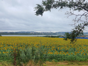 Фото редакції krivbass.city