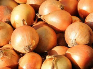 Що буде з цінами на цибулю: коли прогнозують падіння цін