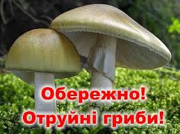 Фото з відкритих джерел 