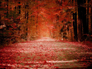 Фото з відкритих джерел  