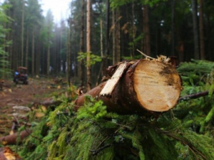 Фото із мережі Інтернет