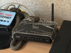 Фото пресс-службы ГСЧС Кривого Рога