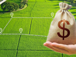 Фото з відкритих джерел