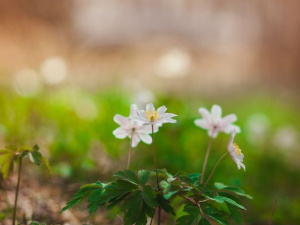 Фото: Depositphotos