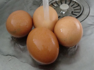 Фото з відкритих джерел