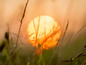 Літнє сонцестояння, фото з відкритих джерел 