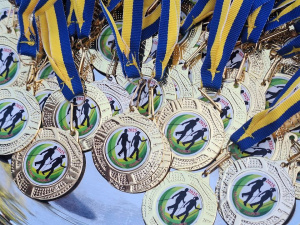 Змагання зі скандинавської ходьби, фото виконкому Інгулецької райради