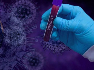 Фото из сети Интернет